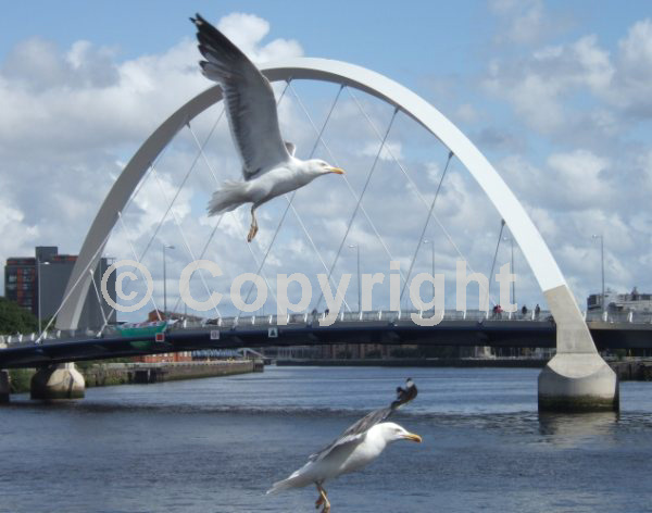 image of squinty Bridge, Glasgow